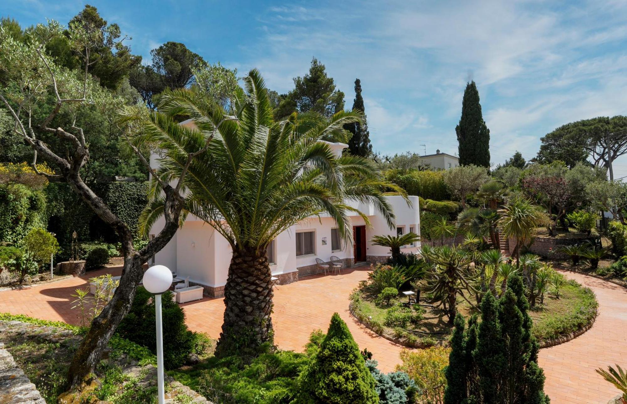 אנה קאפרי Villa Donna Carolina Capri מראה חיצוני תמונה